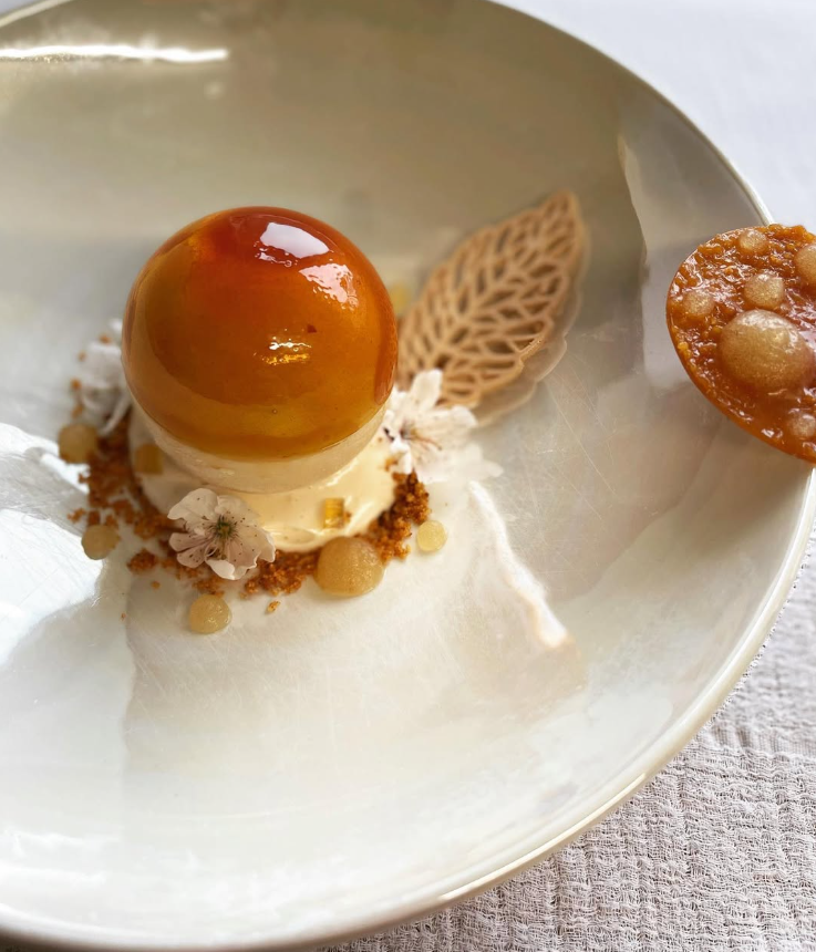 Apricot Gloss pastry creation